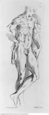 Raccolta di disegni originali di Fra.co Mazzola detto il Parmigianino tolti dal gabinetto di Sua Eccellenza il Sig.re Conte Alessandro Sanvitale, (Tav. 15) Akt eines jungen Mannes im Dreiviertelprofil