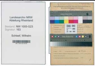 Entnazifizierung Wilhelm Schleef , geb. 31.01.1886 (Schneider)