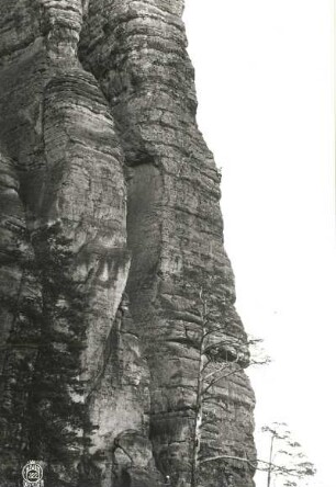 Sächsische Schweiz, Rathener Gebiet. Vexierturm. Seilschaft Willy Benke im oberen Teil der Weinertwand (VIIa [VIIb])