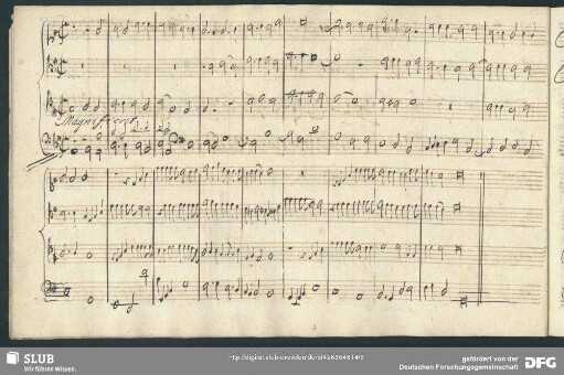 Johann Caspar Ferdinand Fischer: Magnificat