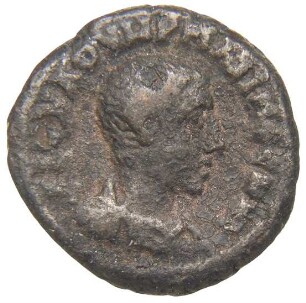 Alexandria: Maximus