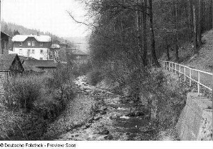 Bachlauf