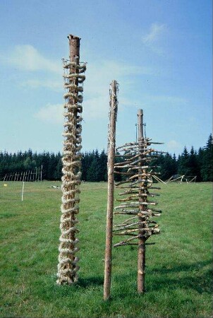 Ausstellung auf einer Bergwiese im Naturpark Friedrichshöhe: Holzkombinationen