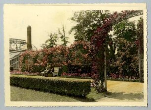 Stadtgarten