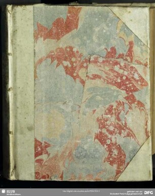 Disputatio Solennis De Praedestinatione Filiorum Dei
