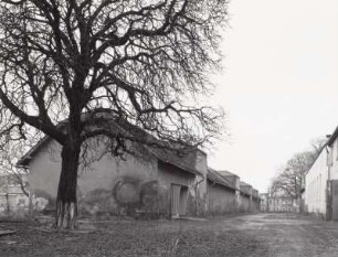 Halle, Königsbrück