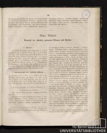 1. Sommergewächse oder einjährige Pflanzen
