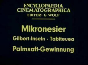 Mikronesier (Gilbert-Inseln, Tabiteuea) - Palmsaft-Gewinnung