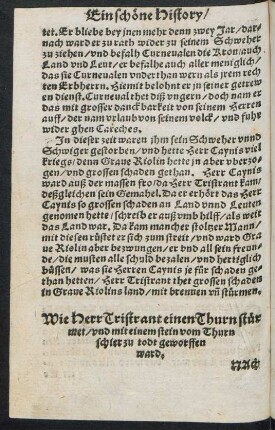 Wie Herr Tristrant einen Thurn stürmet/ und mit einem stein vom Thurn schier zu todt geworffen ward.
