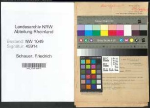 Entnazifizierung Friedrich Schauer , geb. 19.01.1894 (Arzt)