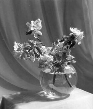 Blumen und Blüten in diversen Vasen. Kirschblütenzweige in einer Glasvase