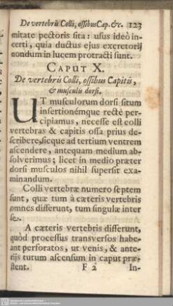 Caput X. De vertebris Colli, ossibus Capitis, & musculis dorsi