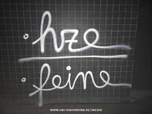 hze feine