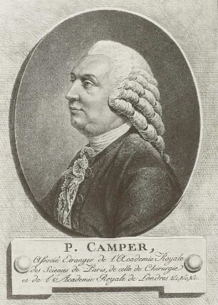 Pieter Camper