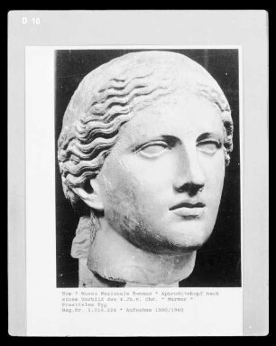 Aphroditekopf nach einem Vorbild des 4.Jh.v. Chr. (Praxiteles-Typ)