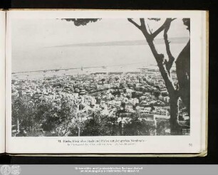 51. Haifa
