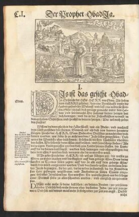 Der Prophet Obadja.