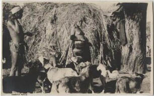 Indianer mit Hunden vor einer Hütte