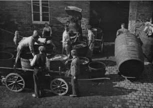 Im Ahrteil (Rhein). Weinernte. Die geernteten Trauben kommen per Wagen zur Traubenkelterei einer Winzergenossenschaft