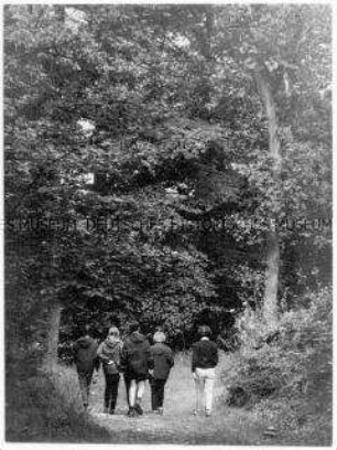 Fünf Menschen auf einem Waldweg
