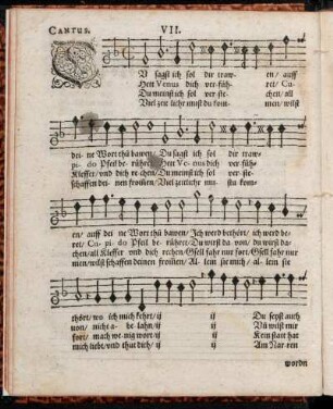 VII. Du sagst ich sol dir trawen ...