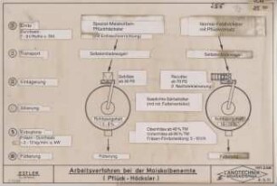 Arbeitsverfahren bei der Maiskolbenernte (Pflück-Häcksler) nach Grimm