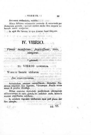 IV. Vibrio.
