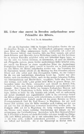 Ueber eine zuerst in Dresden aufgefundene neue Pelzmilbe des Bibers