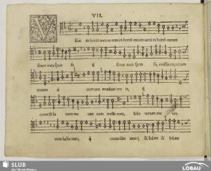 VII. Veni in hortum meum