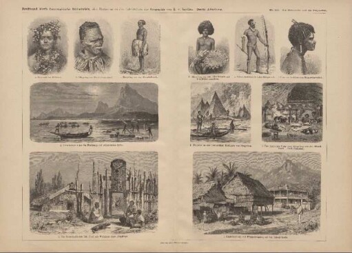 b. Häuptling der Maori (Neuseeland)