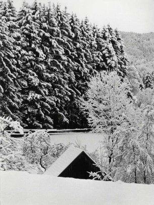 Winterlandschaft