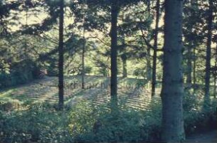 Kurpark: Naturbühne: Blick durch Büsche und Bäume auf Zuschauerbänke