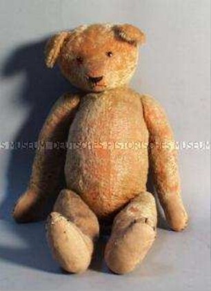 Teddy