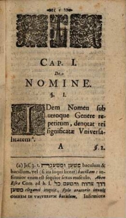 Interpres Ebraeo-Chaldaeus : omnes utriusque linguae idiotismos dextere explicans