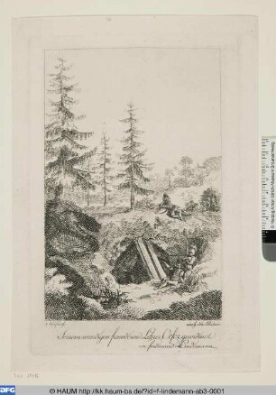 Waldlichtung mit Unterschlupf
