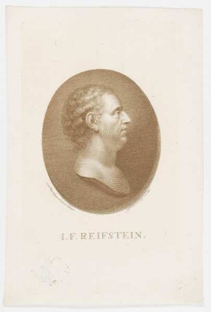 Bildnis des I. F. Reifstein