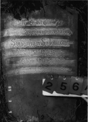 Grabstein 256 (Index: 100099925) Zustand: mit Efeu bewachsen Maße HxBxT: 127x49x35 cm: Grabstein 256A