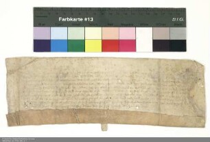 [Lehen Adolfs von Rodenhausen wegen des halben Zehnten zu Kleinseelheim]