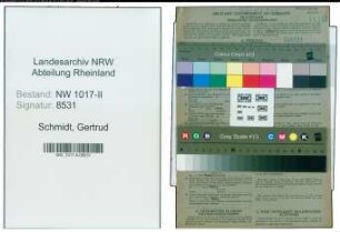 Entnazifizierung Gertrud Schmidt , geb. 07.09.1919 ()