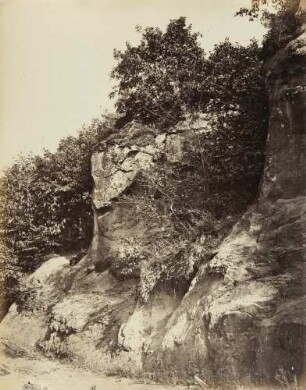 Mittelgrundstudie: Felsen und Terrain: Felspartie