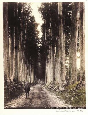 741 Imaichi Road at Nikko