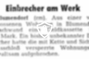 Einbrecher am Werk