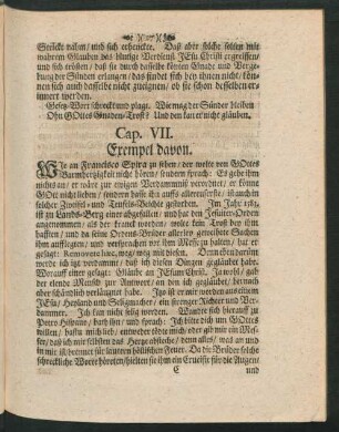 Cap. VII. Exempel davon
