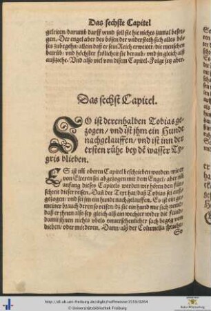 Das sechst Capitel