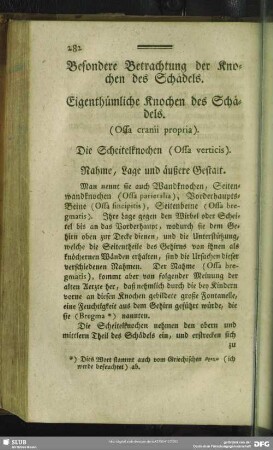Besondere Betrachtung der Knochen des Schädels