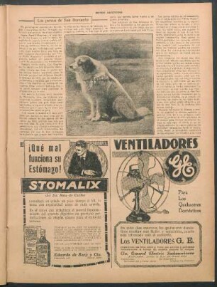 Los perros de San Bernardo