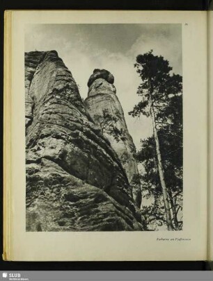 Barbarine am Pfaffenstein