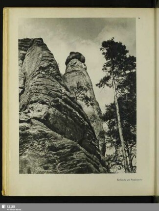 Barbarine am Pfaffenstein