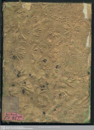 Bolachi principe del Mogol - Mscr.Dresd.Ob.48.ga
