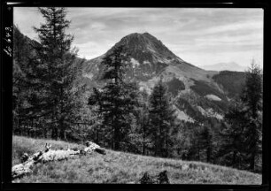 Alpen, Vegetationsstufen
